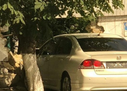 Забор, который устоял во время войны в Новороссийске, не устоял перед легковушкой