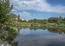 Погода в Новороссийске: пекло