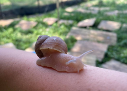 Гороскоп от «Блокнота»: Стрельцам пора поработать, а Козероги найдут приключения