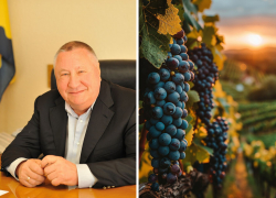 Бывший мэр Новороссийска Владимир Синяговский стал соучредителем «Шато Пино»