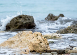 Погода в Новороссийске: Чёрное море неумолимо остывает