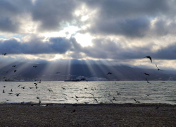 Гороскоп от «Блокнота»: ракам не пятиться перед трудностями, а стрельцам слушать интуицию  