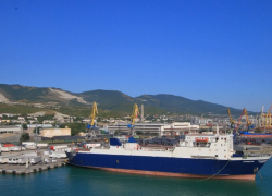 На морские рейсы из Новороссийска в Сочи выделили больше 135 миллионов