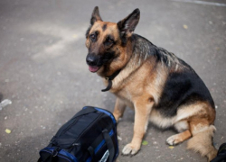 Посетителей торгового центра экстренно эвакуировали в Новороссийске