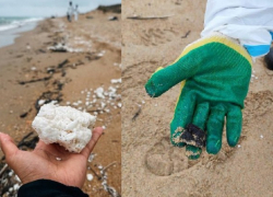 Прокуратура не нашла виновных в разливе пальмового масла в Черном море