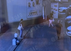 Погибшая чихуахуа - как это было: новороссийцы поделились кадрами с камеры видеонаблюдения