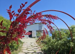 Гороскоп от «Блокнота»: близнецам говорить «Да», а ракам усмирить свою гордость 