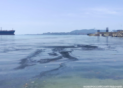 Море Новороссийска покрылось серой пленкой: что произошло? 