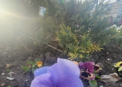 Снимаем шубы: уже к выходным в Новороссийск накроет теплый фронт