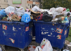 "Мусорные" перемены: кто будет вывозить мусор в Новороссийске