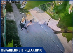 Женщины с коляской вытряхнули котят из пакета на асфальт в Новороссийске