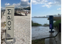 Аппараты с правильным кормом для уток появились на пляжах Новороссийска