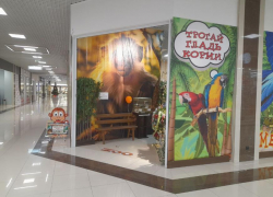 «Блокнот» побывал в «Тропическом раю», чтобы узнать, как чувствуют себя животные