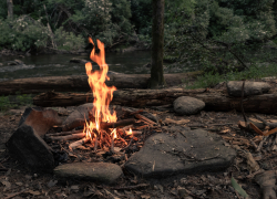 В Новороссийске временно запретили посещение лесов: иначе это обойдётся дорого