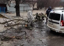 В Новороссийске ввели режим повышенной готовности