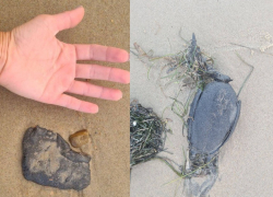 Мазут возвращается! В Анапе и Темрюкском районе на берег выбросило большие черные куски