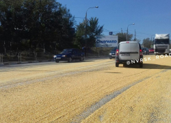 Кукурузный рай на дорогах Новороссийска