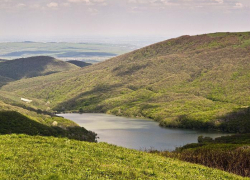  Заминированый лес нашли под Новороссийском 