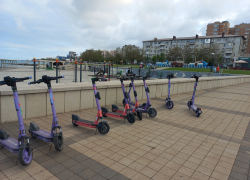 Водителей электросамокатов в Новороссийске начнут проверять на умственные способности перед поездкой 