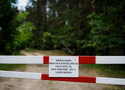 Отставить шашлыки: леса Новороссийска остаются под запретом