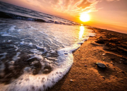 Берегите себя: в Новороссийск пришла аномальная жара 