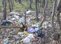 Новороссийцы возмущены несанкционированными свалками на территории поселка Кирилловка