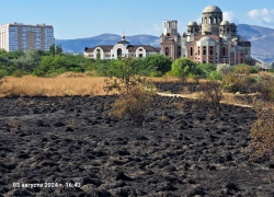 Пожар в Суджукской лагуне в Новороссийске: возможные причины и последствия 