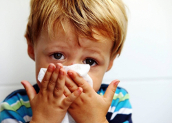 С соплями не приводите: в школах Новороссийска заработал «утренний фильтр»