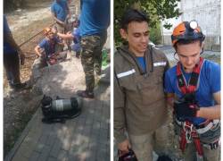 Маленького котенка спасли в Новороссийске из ливневки