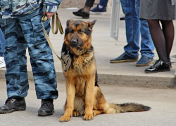 Пропавшую школьницу нашли в 550 километрах от дома в Новороссийске