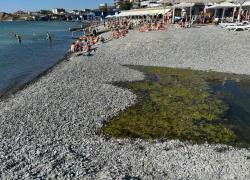 Суджукской лагуной займутся всерьез: Минприроды заключило контракт на разработку проектной документации по расчистке