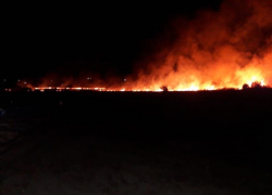 Стали известны подробности пожара в Южной Озереевке 