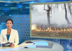 "Дети в истерике плакали": мегапожар под Новороссийском показали по Первому каналу 