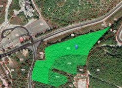 В Новороссийске появится новая зеленая зона для прогулок 