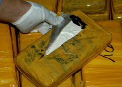 Наркотики везли из Эквадора в Голладнию, а судить в Новороссийске будут израильтянина