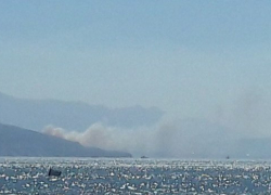 Лесной пожар тушат между Новороссийском и Кабардинкой