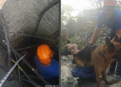 Новороссийские спасатели вызволили пса, упавшего в колодец: история спасения