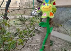 Новороссийцы отогреются: плюс пятнадцать