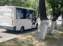 «Смотрит в телефон, хамит, нарушает»: жительница Новороссийска пожаловалась на хамство водителя маршрутки