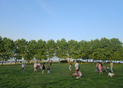 Гороскоп от «Блокнота»: у скорпионов недоразумения в личной жизни, а козероги решат давнюю проблему 