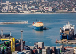 Из Новороссийска в Турцию вернули 21 тонну говяжьего желатина