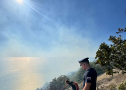 Анапа лишилась 7.3 га лесного фонда