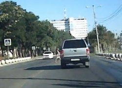 В Новороссийске водитель сбил пешехода и скрылся