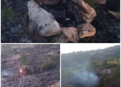 Непотушенный костер стал причиной возгорания в лесу Новороссийска