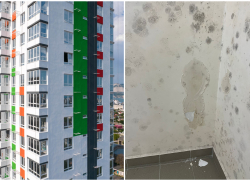 Несчастливый "Клевер": новые квартиры новороссийцев текут и покрываются плесенью 