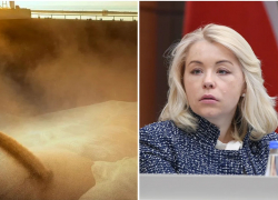 Зерновой терминал заплатит за загрязнение Черного моря в Новороссийске 