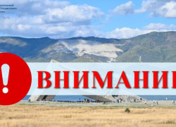 В Новороссийске сегодня будут уничтожать мраморного клопа