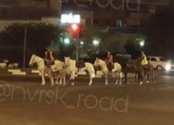 Лошадки показывают пример новороссийским автомобилистам и пешеходам