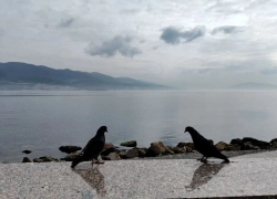 В Новороссийске немного потеплело, но машину мыть рано