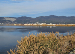 Погода в Новороссийске: воздух на Черноморском побережье прогреется до +20 